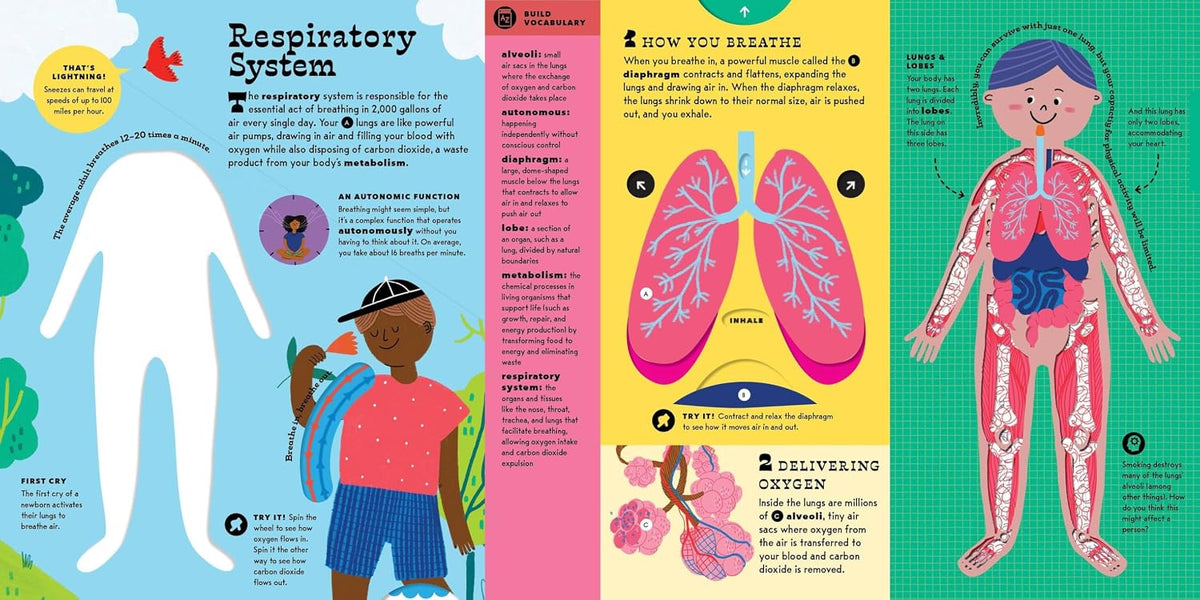 The Interactive Human Body