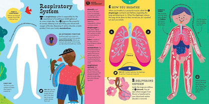 The Interactive Human Body