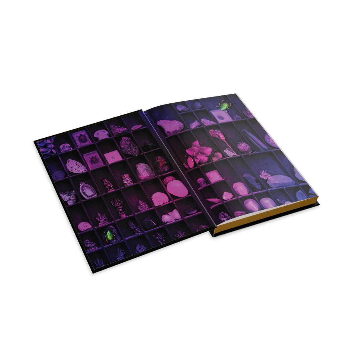 The Lost Apothecary Collector's Edition (Reissue)