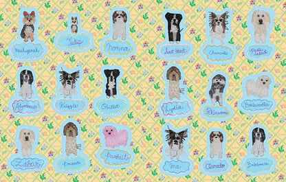 The Susan Alexandra Sticker Book