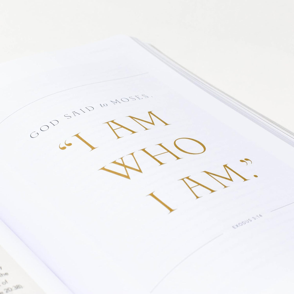 The Word on Fire Bible