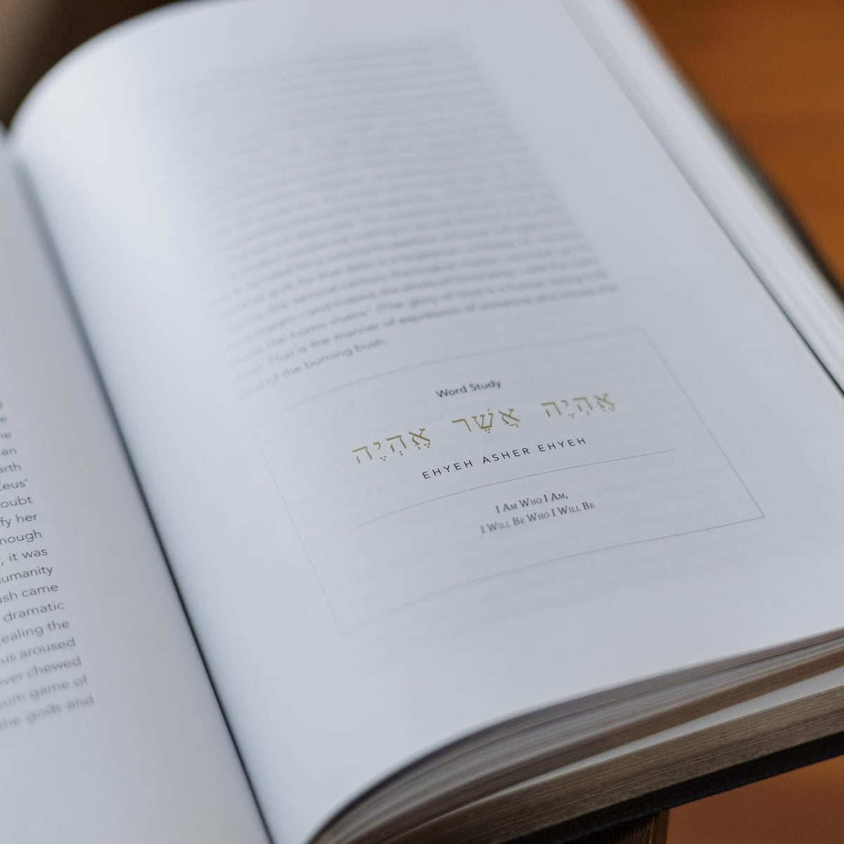 The Word on Fire Bible