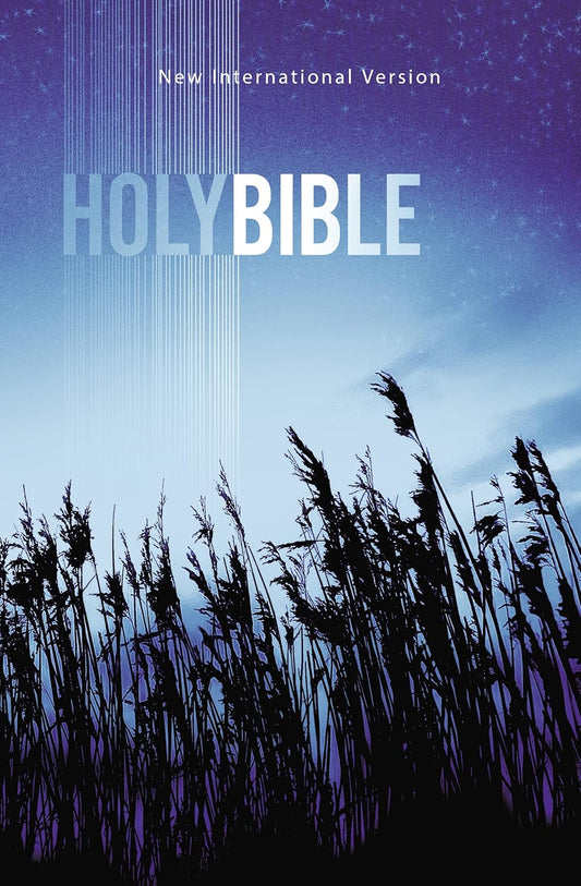 Value Outreach Bible-NIV