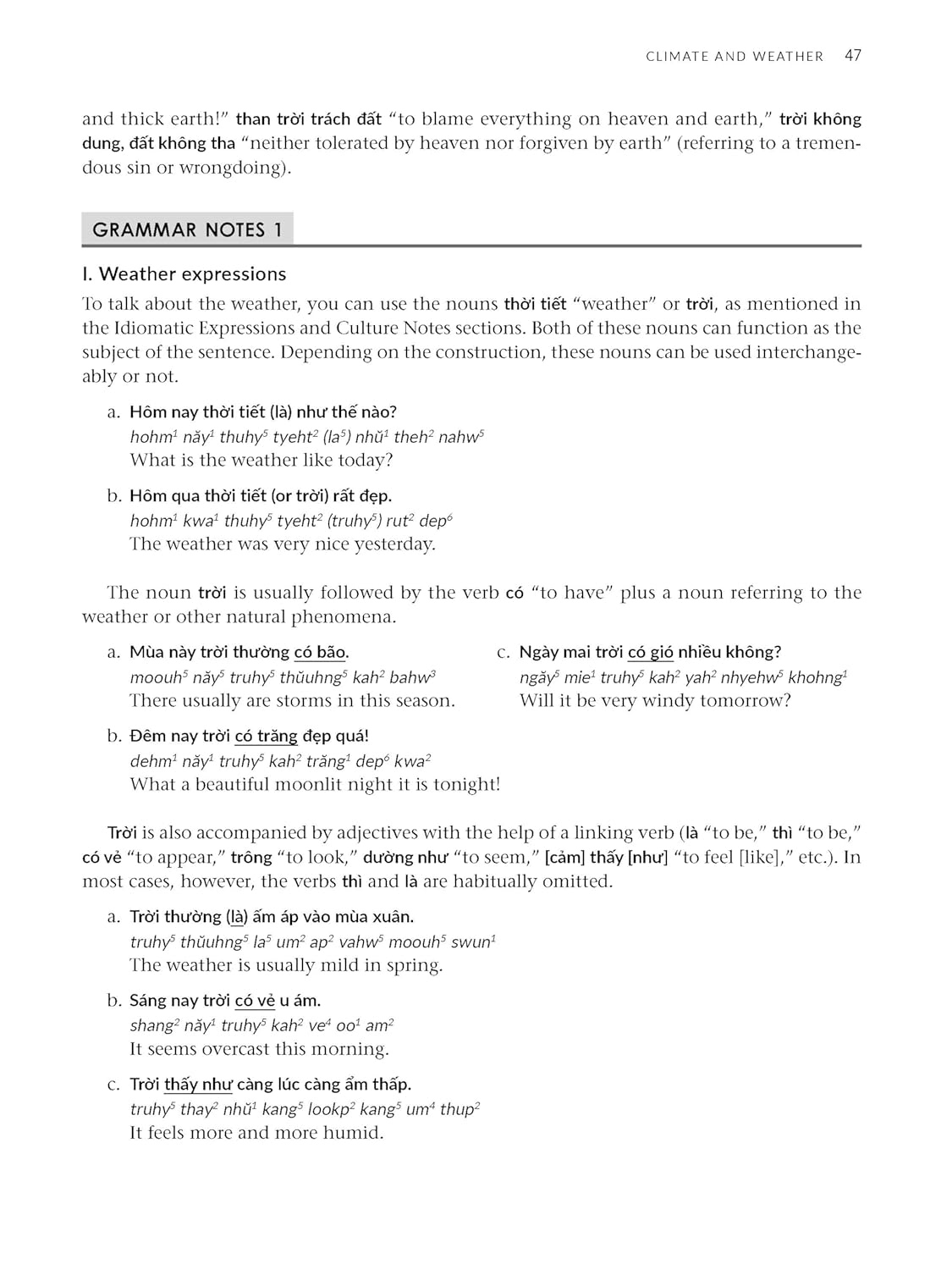 Vietnamese for Beginners