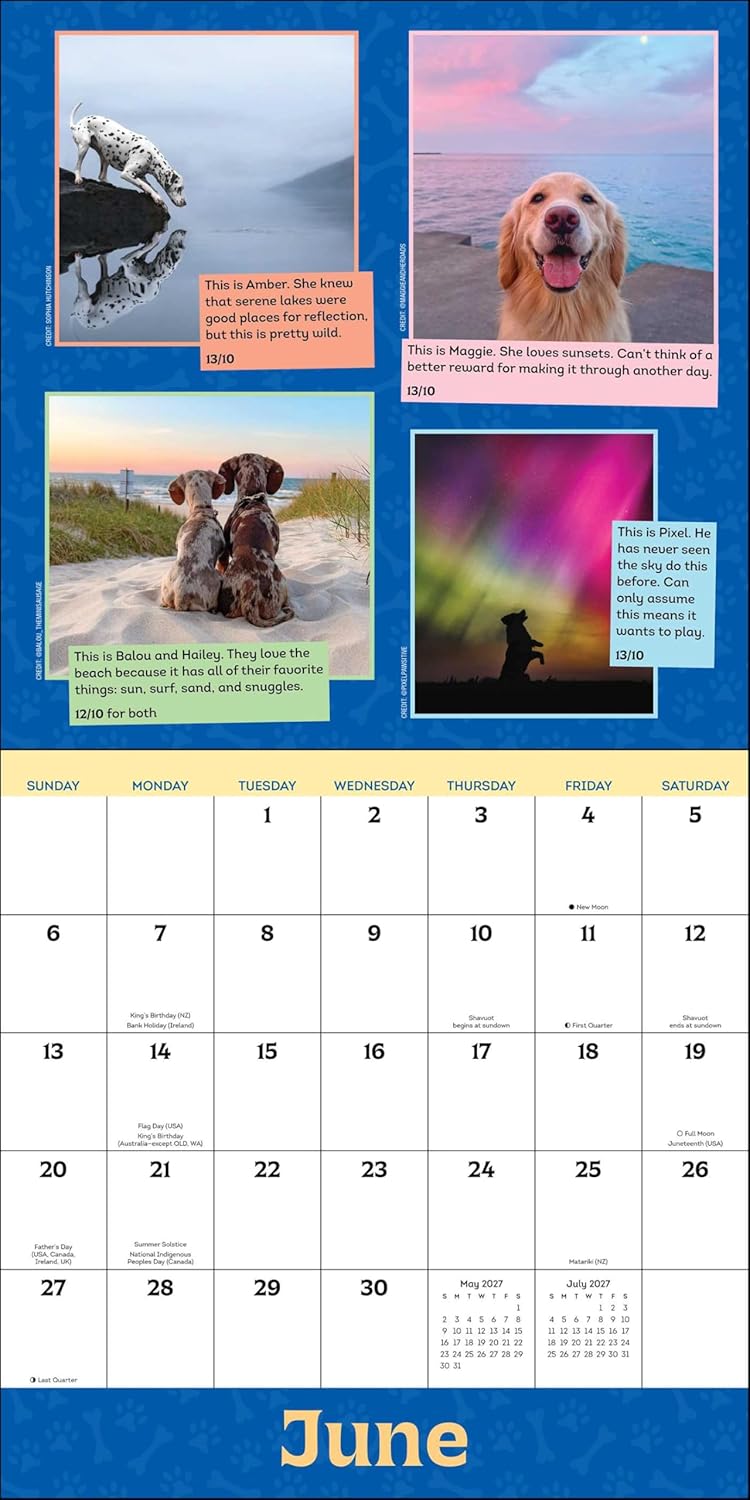 WeRateDogs 2027 Wall Calendar
