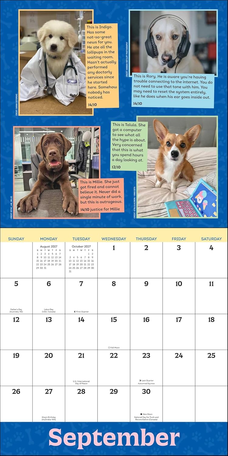 WeRateDogs 2027 Wall Calendar