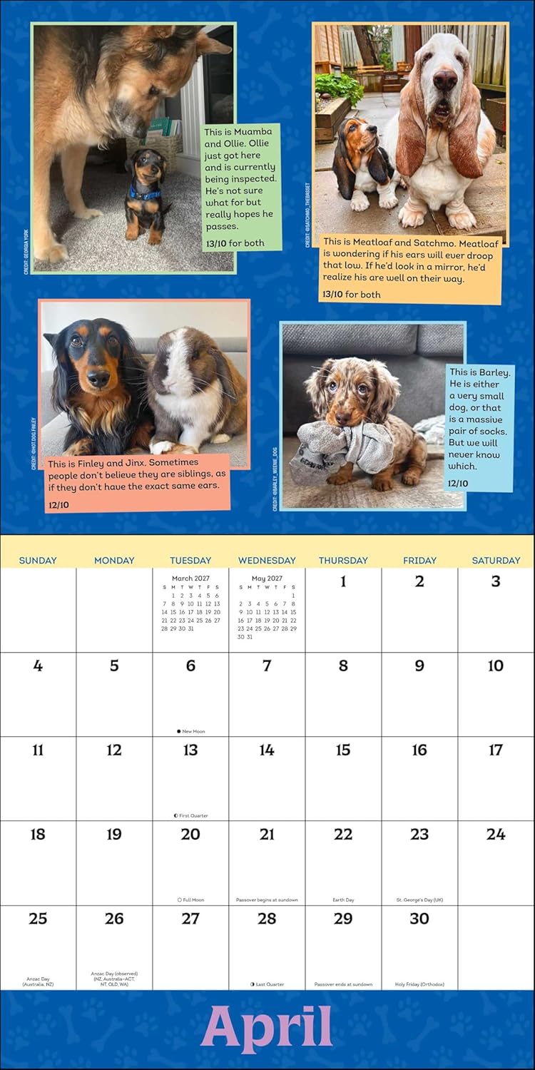 WeRateDogs 2027 Wall Calendar