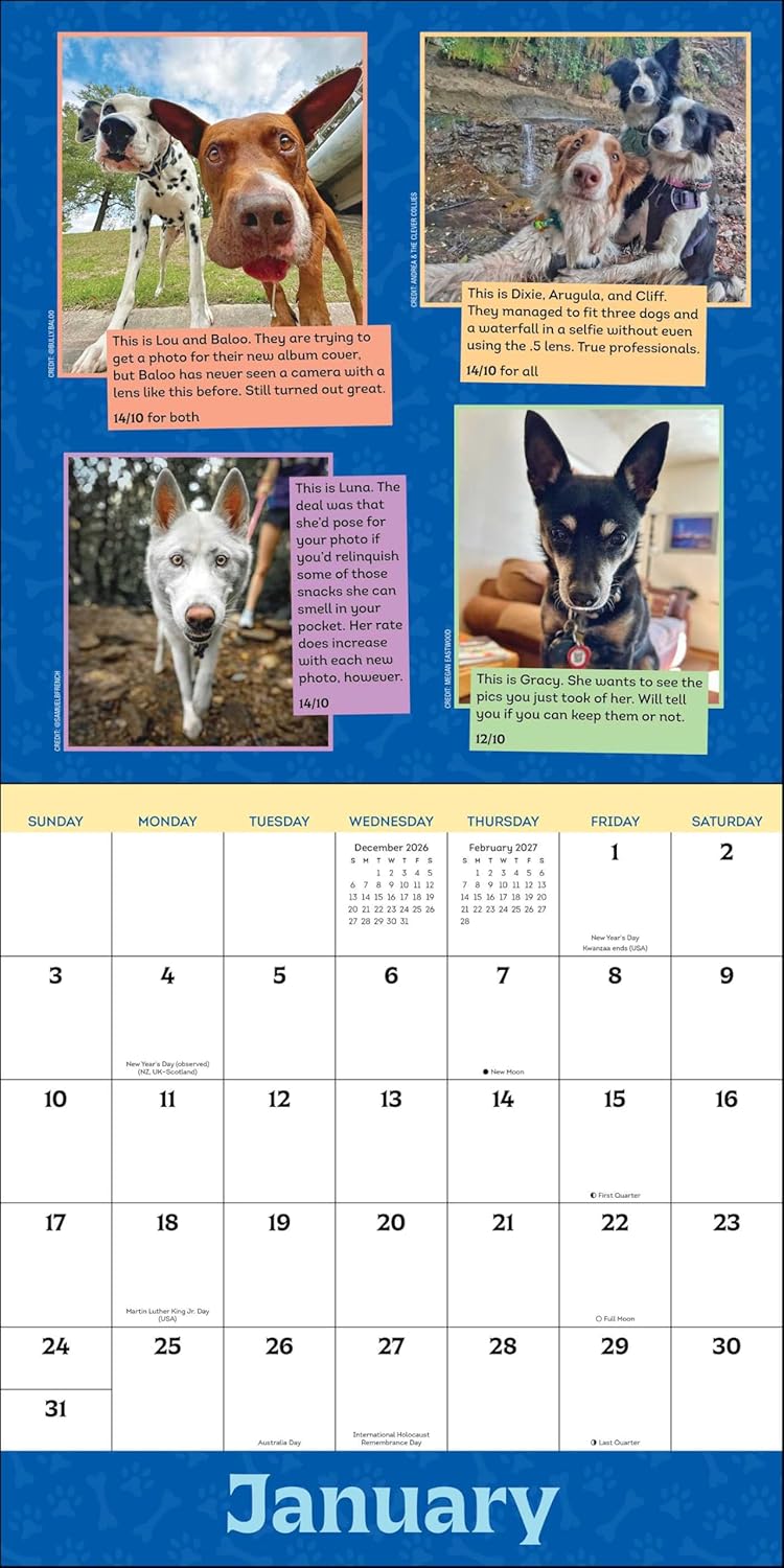 WeRateDogs 2027 Wall Calendar