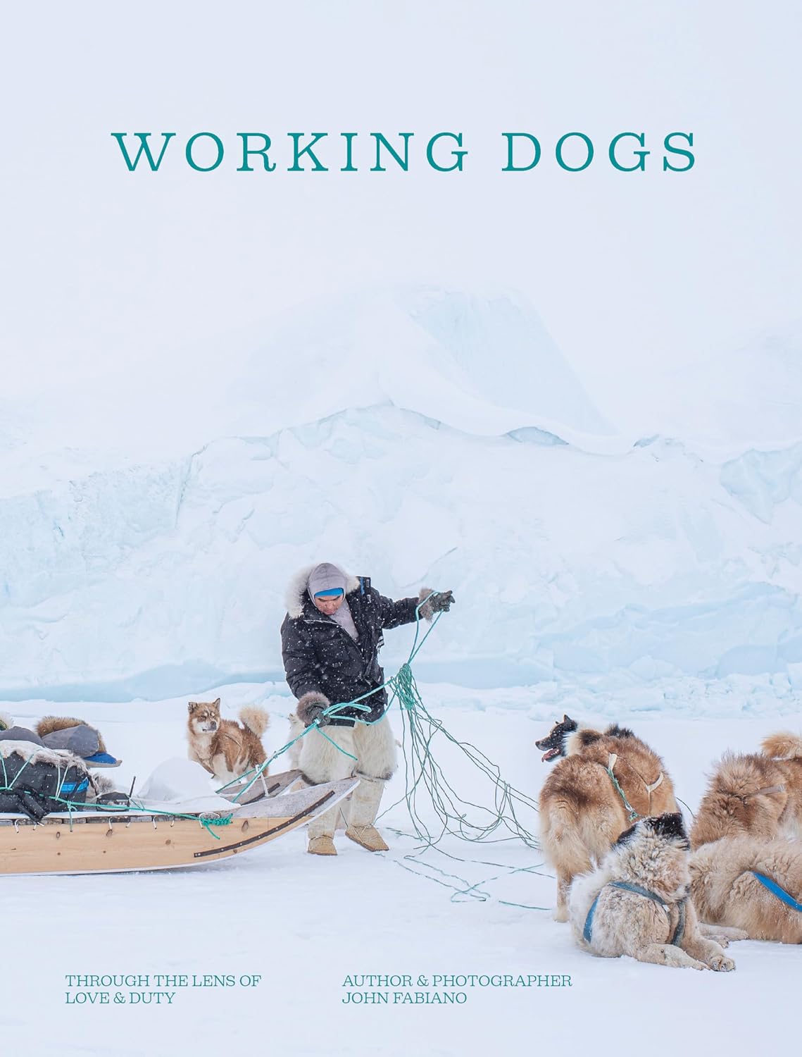 Working Dogs: Through the Lens of Love and Duty