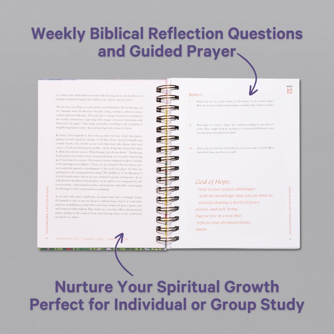 A Beautiful Year in the Bible: The 52-Week Bible Study for Women