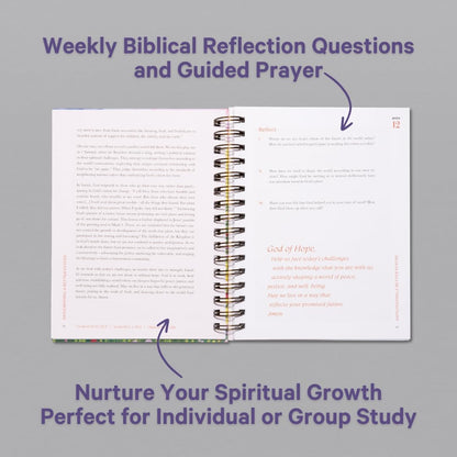 A Beautiful Year in the Bible: The 52-Week Bible Study for Women