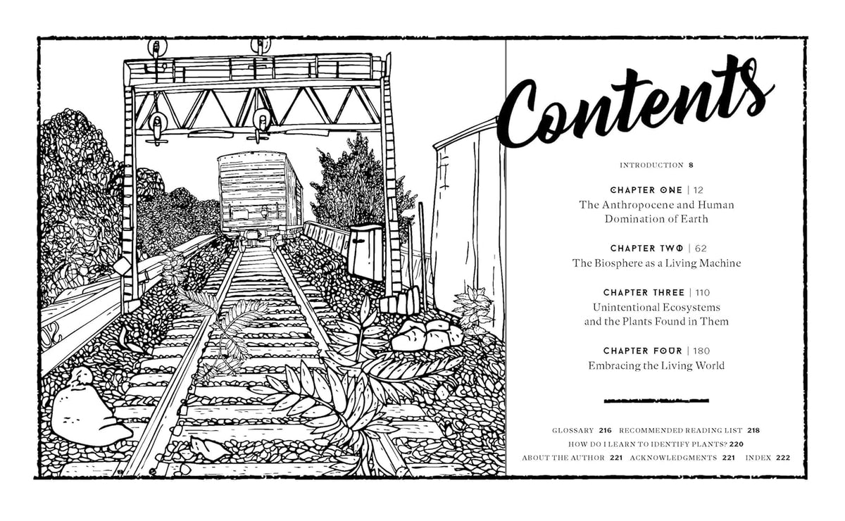 Concrete Botany: The Ecology of Plants in the Age of Human Disturbance
