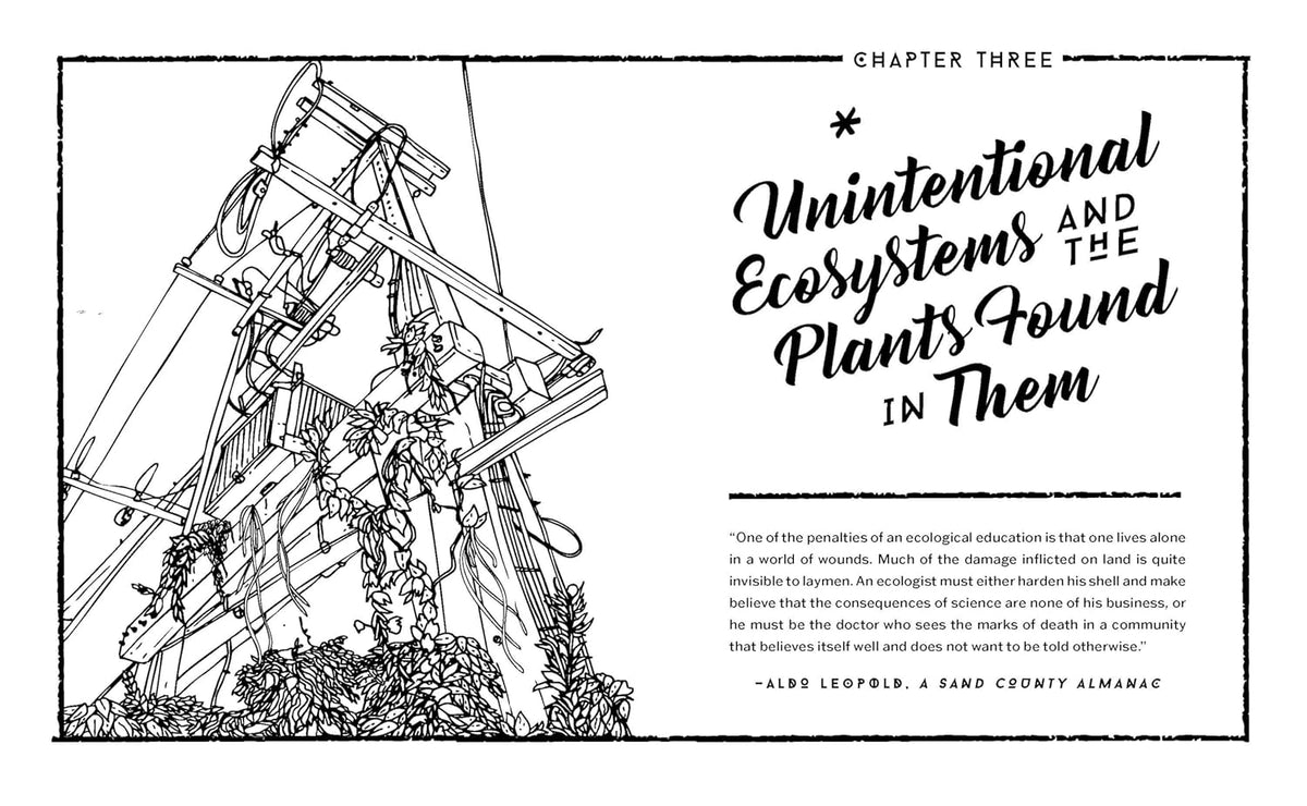 Concrete Botany: The Ecology of Plants in the Age of Human Disturbance