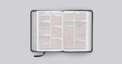 ESV Large Print Compact Bible, Red Letter (Trutone, Charcoal, Crown Design)