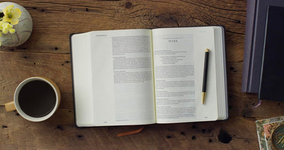 ESV Single Column Journaling Bible, Artist Series (Hardcover, Joshua Noom, the Lion and the Lamb)