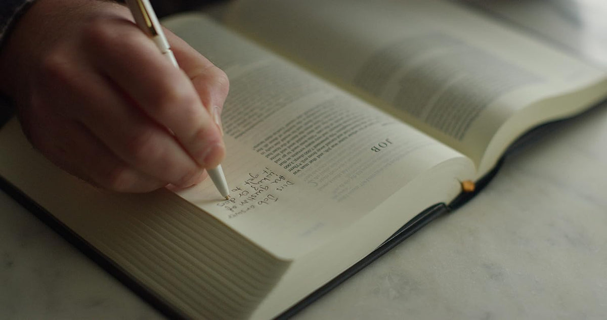 ESV Single Column Journaling Bible, Artist Series (Hardcover, Joshua Noom, the Lion and the Lamb)