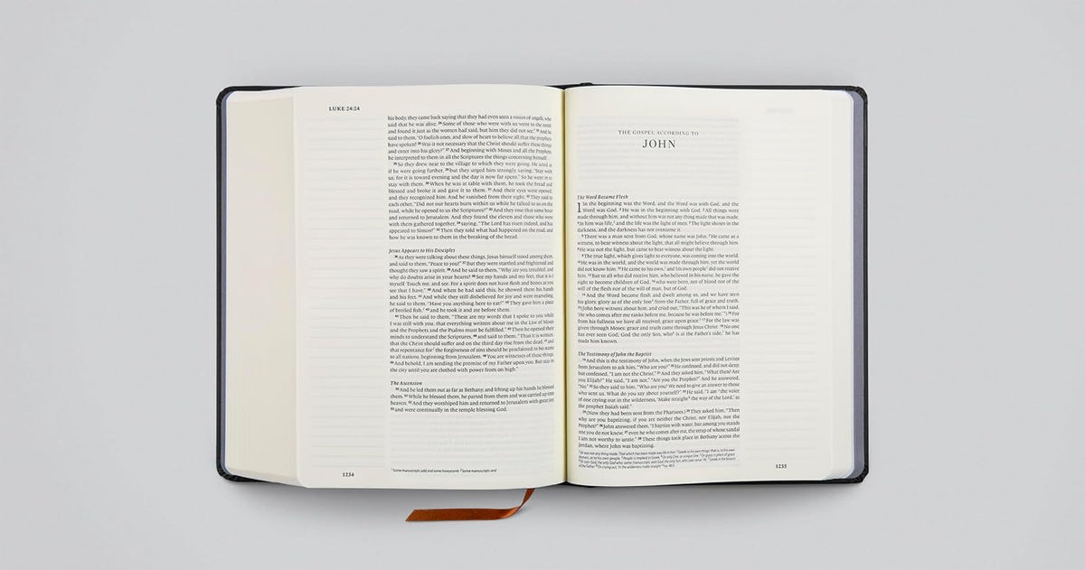 ESV Single Column Journaling Bible, Artist Series (Hardcover, Joshua Noom, the Lion and the Lamb)