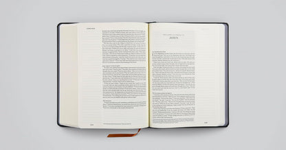 ESV Single Column Journaling Bible, Artist Series (Hardcover, Joshua Noom, the Lion and the Lamb)
