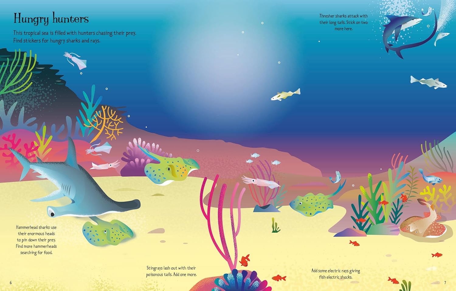 First Sticker Book Sharks and Rays