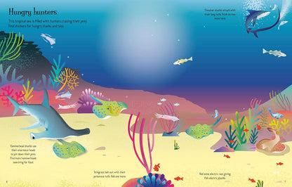 First Sticker Book Sharks and Rays