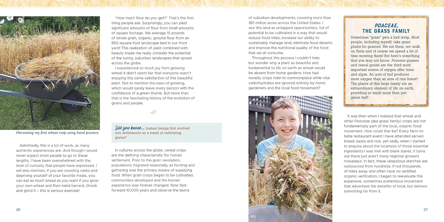 Gardening with Grains: Bring the Versatile Beauty of Grains to Your Edible Landscape