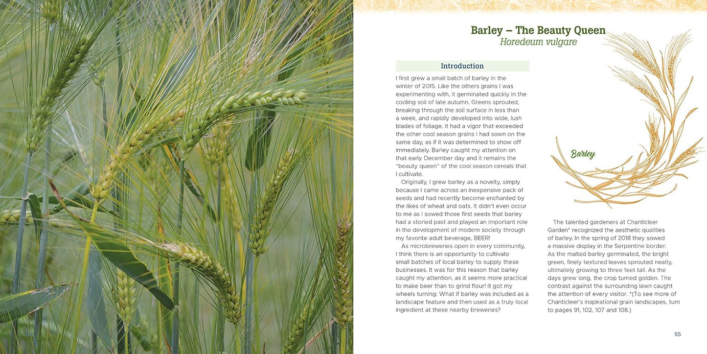 Gardening with Grains: Bring the Versatile Beauty of Grains to Your Edible Landscape
