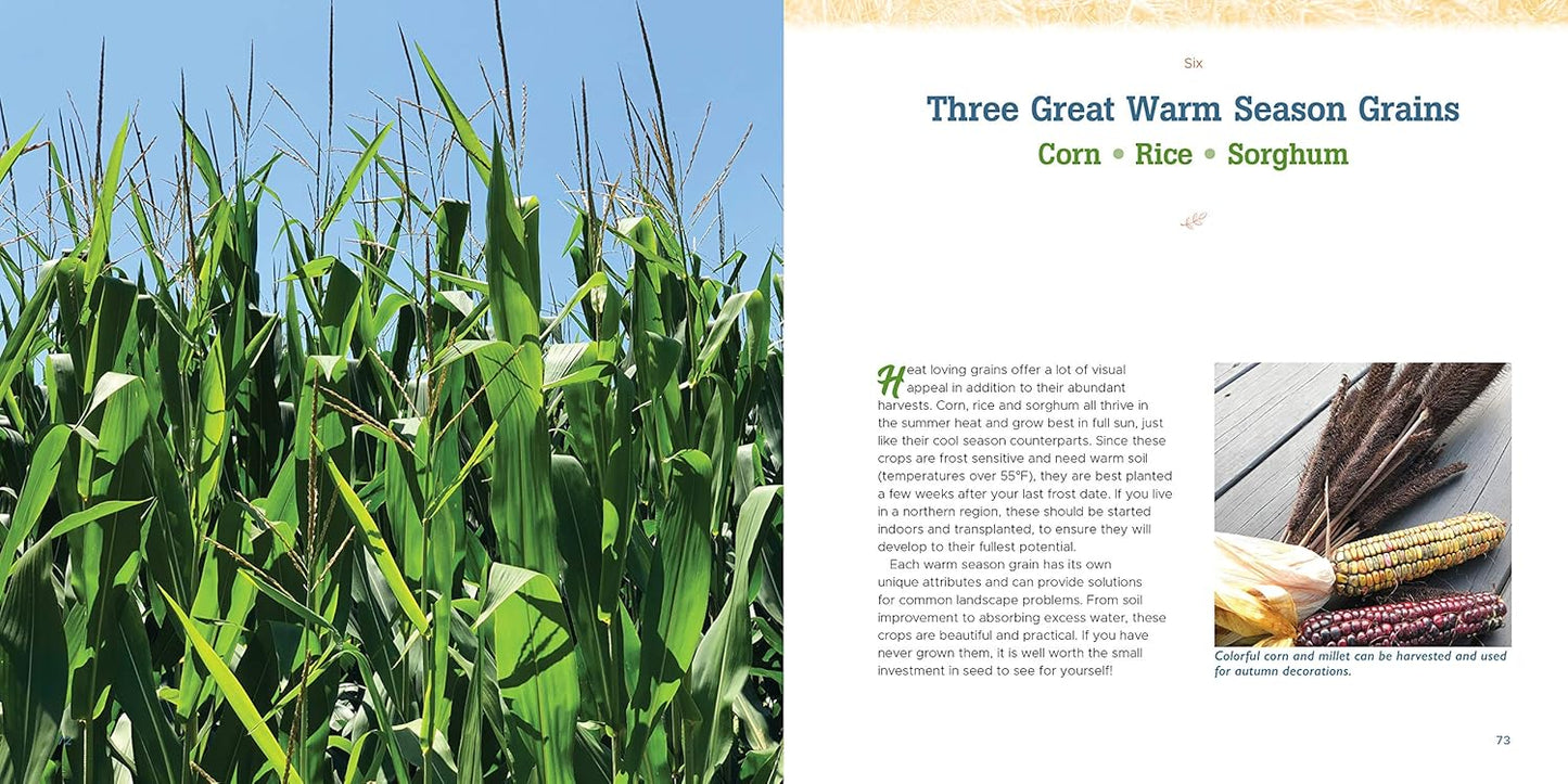 Gardening with Grains: Bring the Versatile Beauty of Grains to Your Edible Landscape