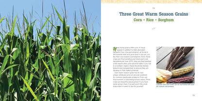 Gardening with Grains: Bring the Versatile Beauty of Grains to Your Edible Landscape