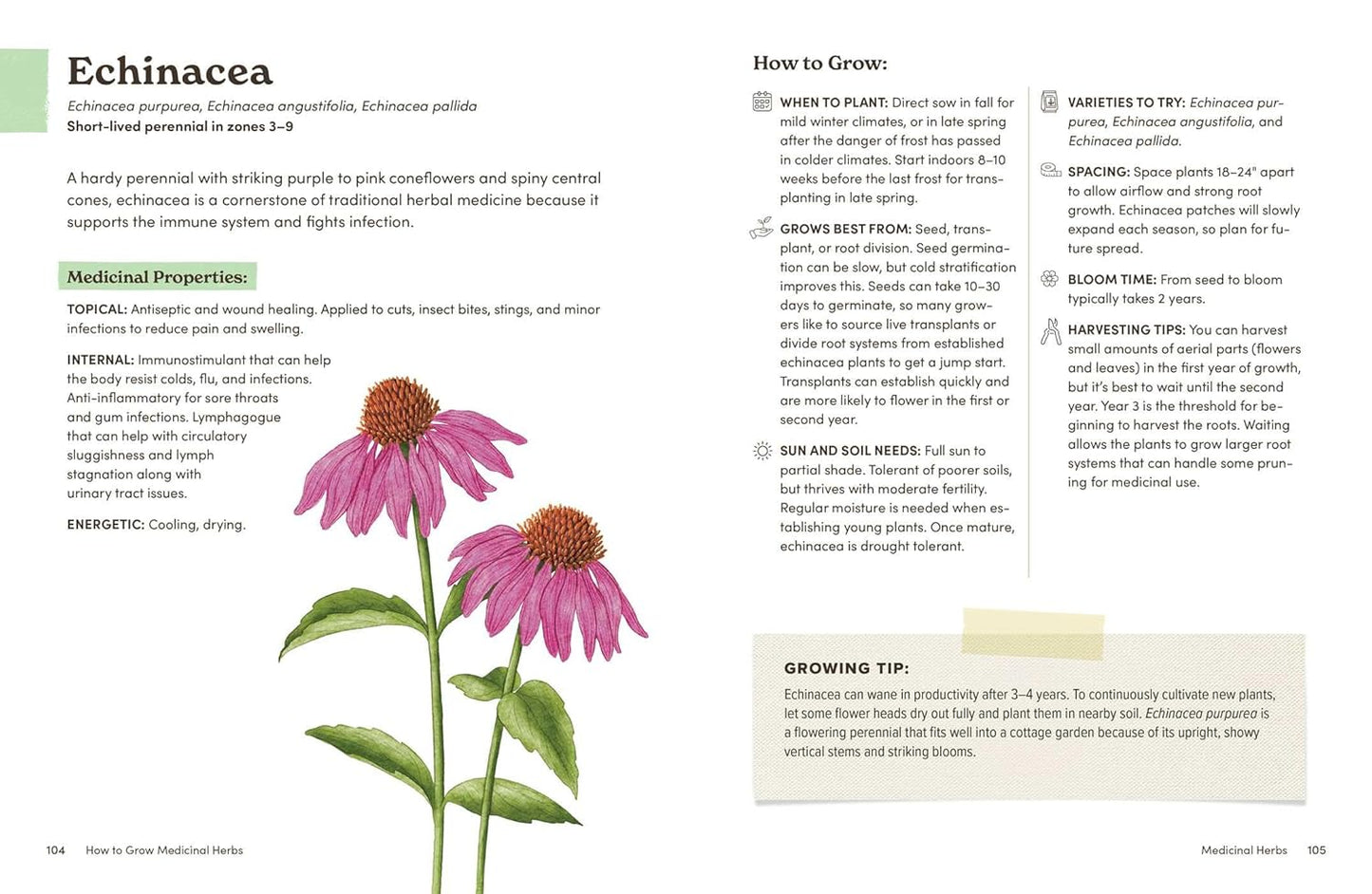 How to Grow Medicinal Herbs: An Illustrated Beginner's Guide to Growing, Harvesting, and Making Herbal Remedies at Home