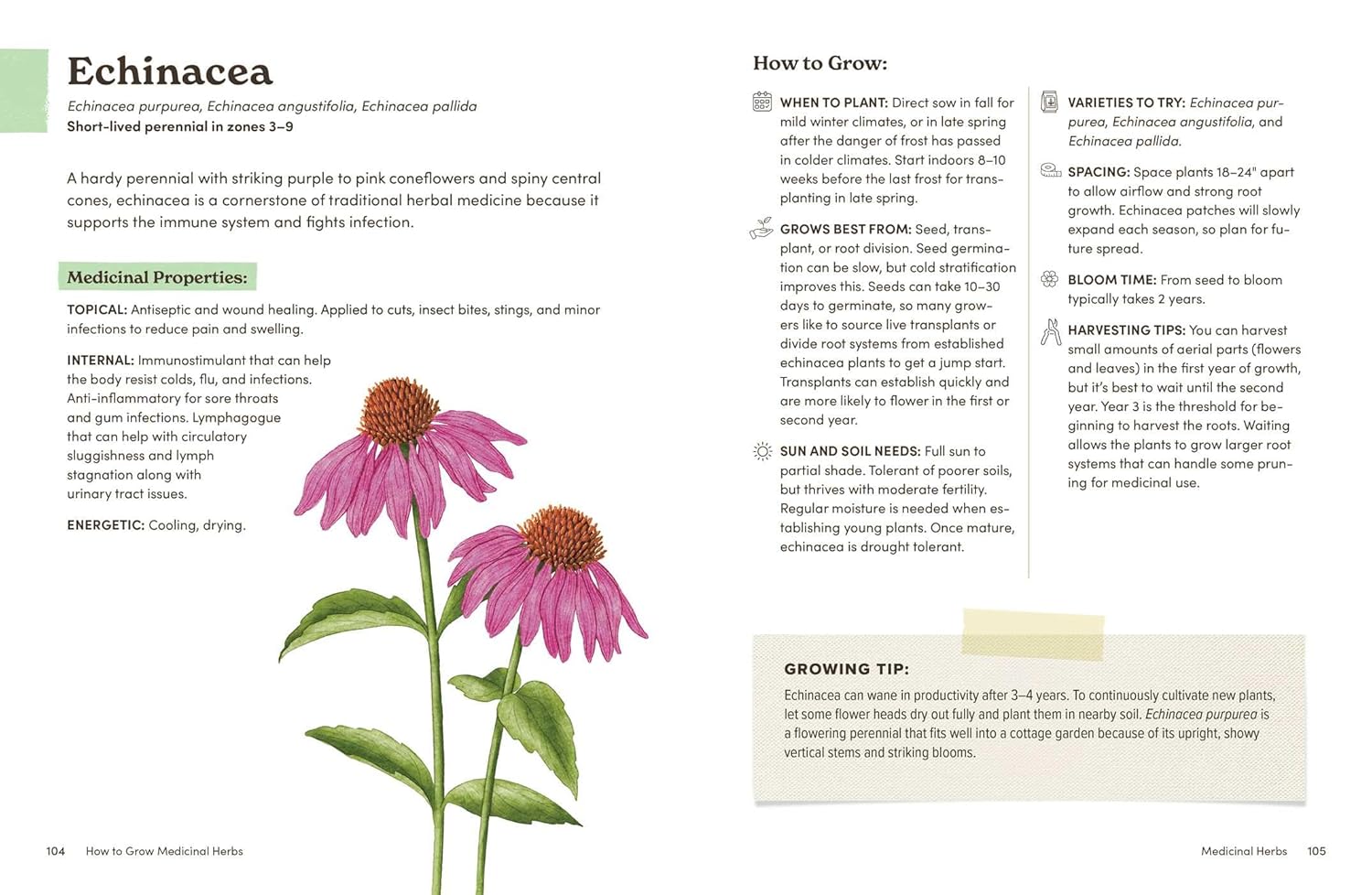 How to Grow Medicinal Herbs: An Illustrated Beginner's Guide to Growing, Harvesting, and Making Herbal Remedies at Home