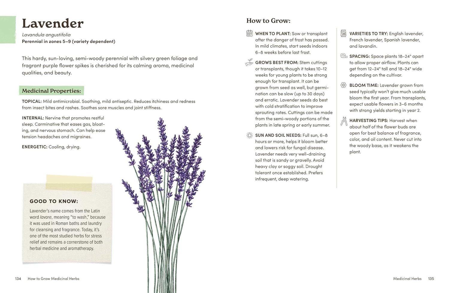 How to Grow Medicinal Herbs: An Illustrated Beginner's Guide to Growing, Harvesting, and Making Herbal Remedies at Home