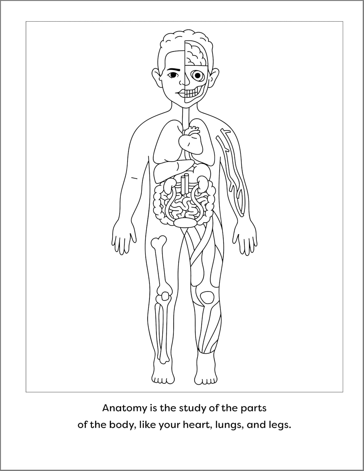 Human Anatomy Coloring Book with Facts: 35+ Coloring Activities with Facts about the Human Body