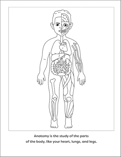 Human Anatomy Coloring Book with Facts: 35+ Coloring Activities with Facts about the Human Body