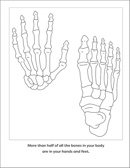 Human Anatomy Coloring Book with Facts: 35+ Coloring Activities with Facts about the Human Body