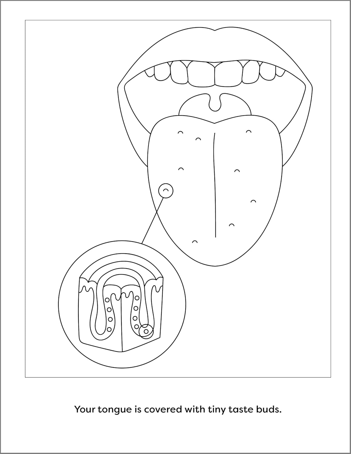 Human Anatomy Coloring Book with Facts: 35+ Coloring Activities with Facts about the Human Body