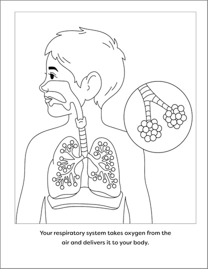 Human Anatomy Coloring Book with Facts: 35+ Coloring Activities with Facts about the Human Body