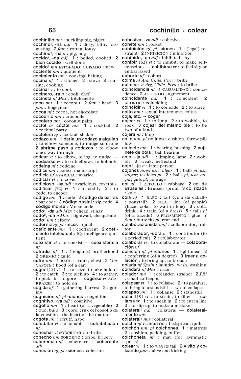 Merriam-Webster's Spanish-English Dictionary