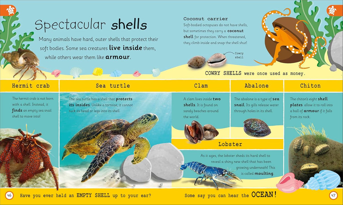 My Encyclopedia of Very Important Oceans: For Little Learners Who Want to Dive Deep Into Earth's Amazing Oceans
