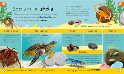 My Encyclopedia of Very Important Oceans: For Little Learners Who Want to Dive Deep Into Earth's Amazing Oceans