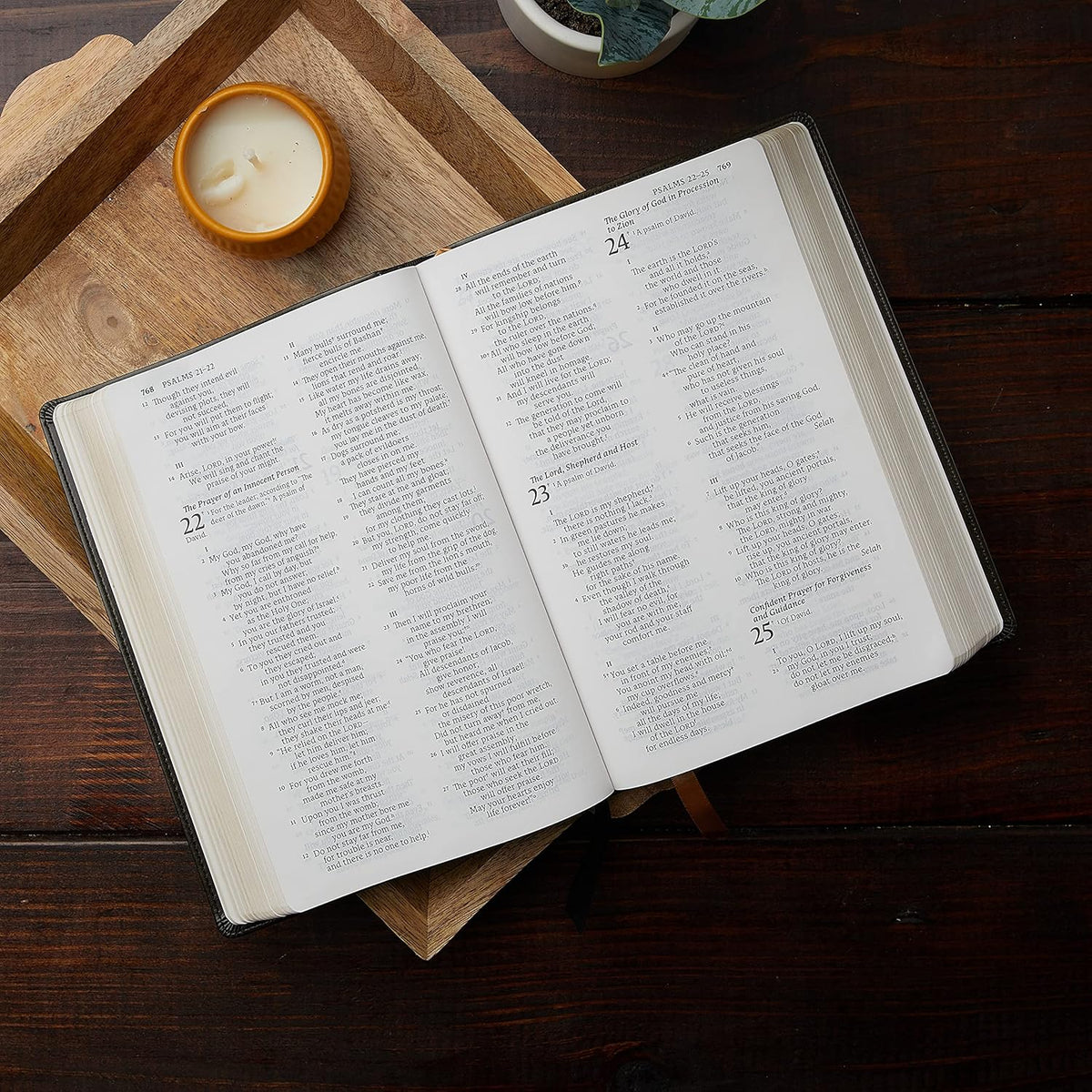 Nabre, New American Bible, Revised Edition, Catholic Bible, Large Print Edition, Leathersoft, Black, Comfort Print: Holy Bible