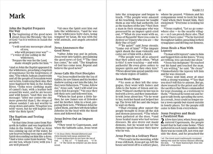 Niv, Fuel for the Race of Life New Testament with Psalms and Proverbs, Pocket-Sized, Paperback, Comfort Print: Inspiration for Motor Racing Enthusiast