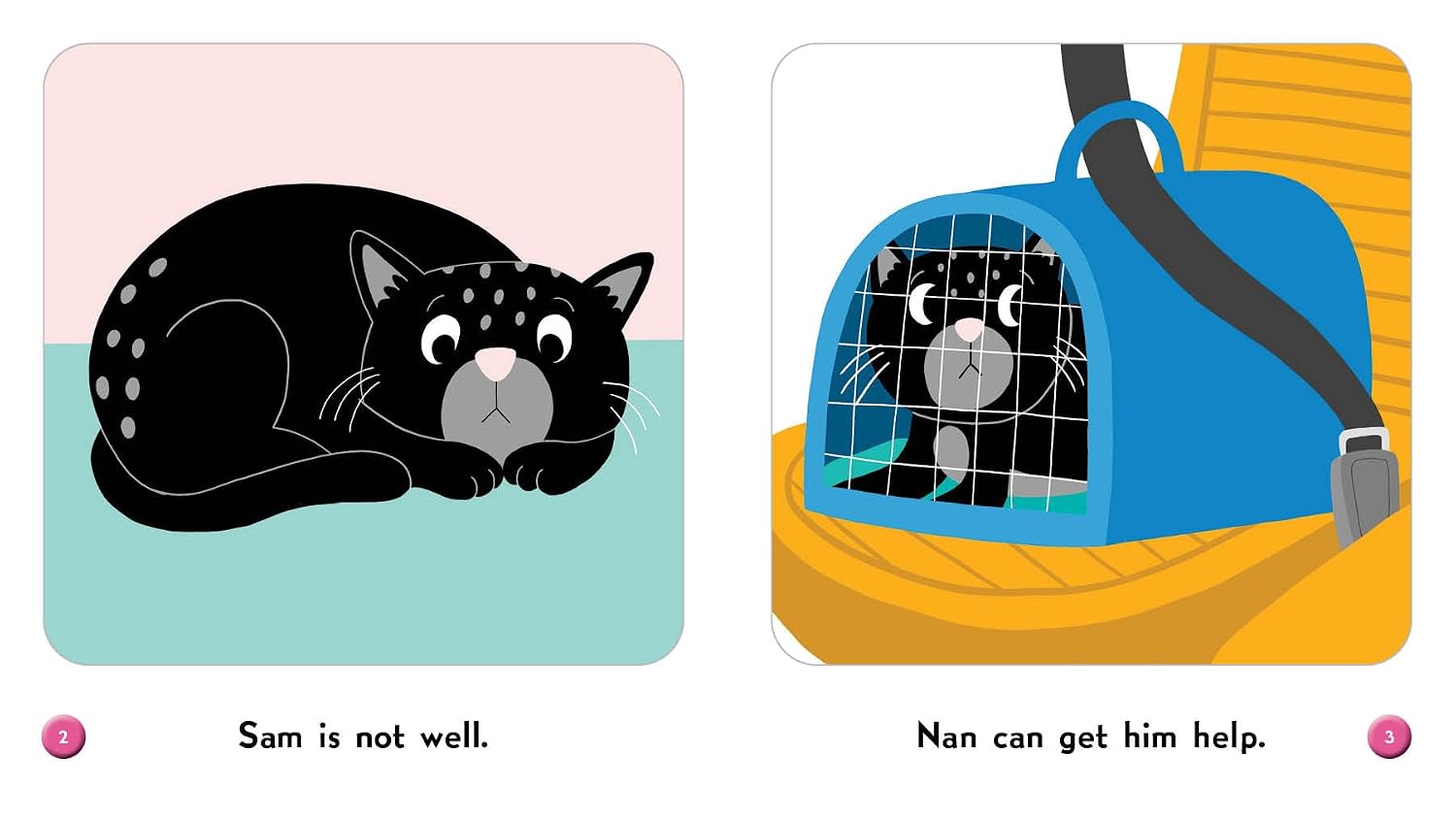 Sam at the Vet