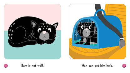 Sam at the Vet