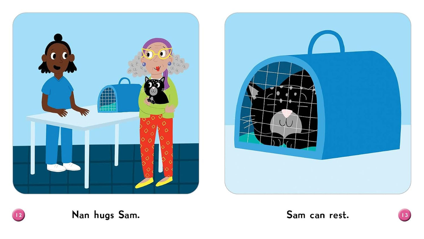 Sam at the Vet