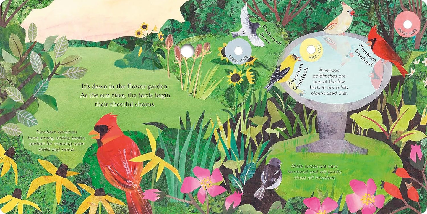 Songs of the Birds: A Guide to North American Bird Calls and Songs