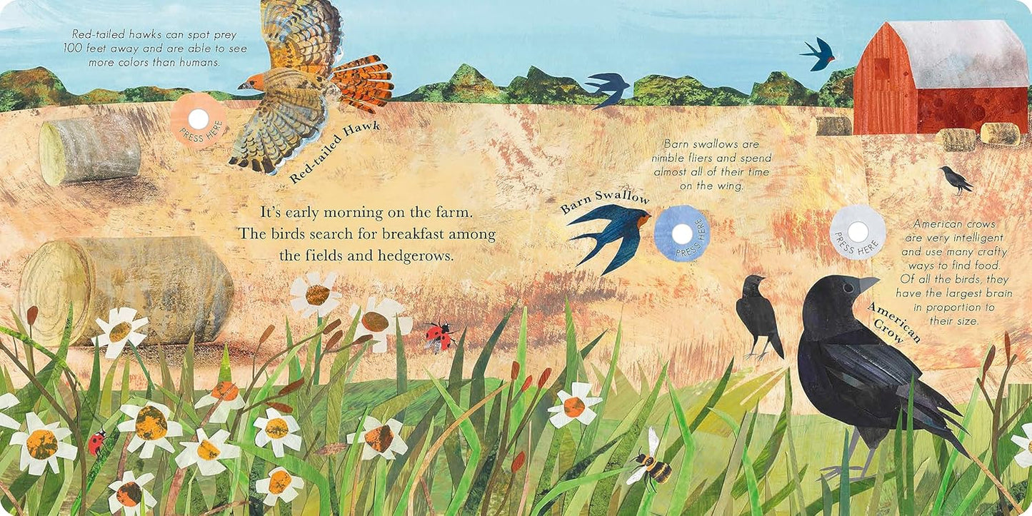 Songs of the Birds: A Guide to North American Bird Calls and Songs
