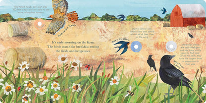Songs of the Birds: A Guide to North American Bird Calls and Songs