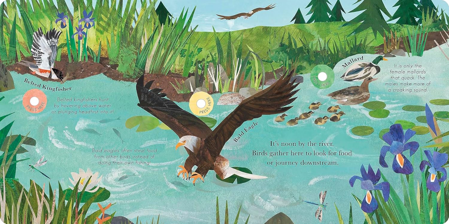 Songs of the Birds: A Guide to North American Bird Calls and Songs
