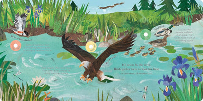 Songs of the Birds: A Guide to North American Bird Calls and Songs