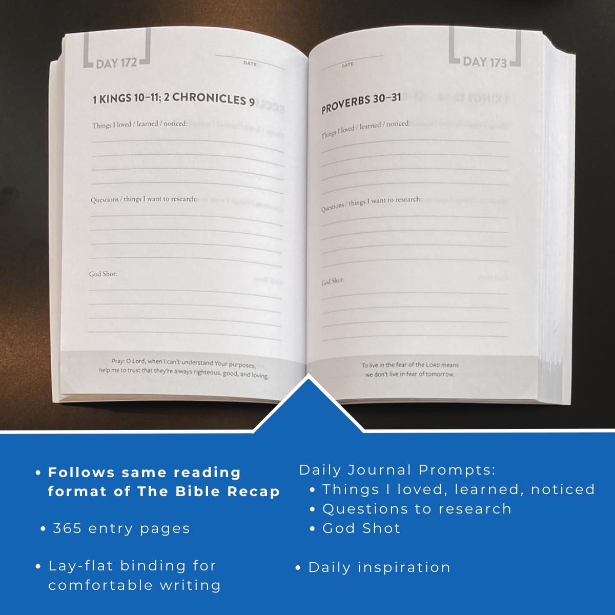 The Bible Recap Journal: Your Daily Companion to the Entire Bible